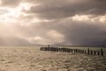 King Cormorant colony, Old Dock, Puerto Natales, Antarctic Patagonia, Chile. Sunset Royalty Free Stock Photo