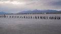 King Cormorant colony, Old Dock, Puerto Natales, Antarctic Patagonia, Chile. Sunset Royalty Free Stock Photo