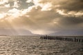 King Cormorant colony, Old Dock, Puerto Natales, Antarctic Patagonia, Chile. Sunset Royalty Free Stock Photo