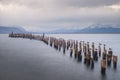 King Cormorant colony, Old Dock, Puerto Natales, Antarctic Patagonia, Chile. Sunset Royalty Free Stock Photo