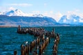 King Cormorant colony, Puerto Natales, Chile Royalty Free Stock Photo