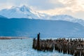 King Cormorant colony, Puerto Natales, Chile Royalty Free Stock Photo
