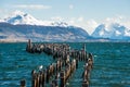 King Cormorant colony, Puerto Natales, Chile Royalty Free Stock Photo