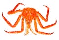 King crab Royalty Free Stock Photo