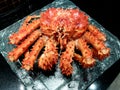 King crab