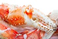 King crab legs Royalty Free Stock Photo