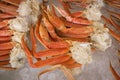 King Crab Legs on Ice Royalty Free Stock Photo