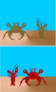 King crab and lobster illustrations