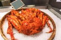 King Crabs at Taipei fish market, Taiwan