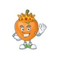 King cute persimmon cartoon style with mascot