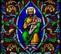 King David - Stained Glass in Bayeux Royalty Free Stock Photo