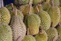 Durian King