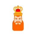 King face Redbeard. Royal persona. Mantle and crown. Monarch Car