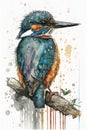 King fisher bird painting