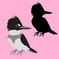 King fisher vector illustration flat style black silhouette