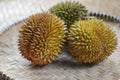 The king of fruit is also known as durian fruit, a thorny fruit with a pungent odor