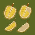 King of fruit also known as durian that has been cut and split open, ready to eat. Cartoon vector illustration.