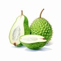 Two Jackfruits On White Background: Multidimensional Shading And Realistic Color Palette