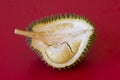 King of fruits in asia, durian on red background