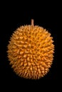 King of fruits, durian isolated on black background. Asian fruit