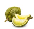 King of fruits, durian isolated on white background