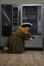 King Henry VIII using vending machine in cafe