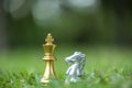 King and knight chess pieces on grass filed Royalty Free Stock Photo