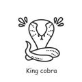 King Kobra line icon. Editable vector illustration