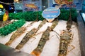 King lobsters lie on a counter with ice for sale