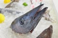 King Mackerel - Scomberomorus Cavalla Royalty Free Stock Photo