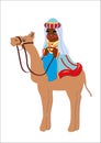 King magus camel Royalty Free Stock Photo