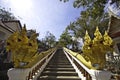 The king of Nagas at Khaokalok temple Royalty Free Stock Photo