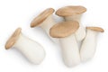 King Oyster mushroom or Eringi isolated on white background with clipping path. Top view. Flat lay Royalty Free Stock Photo