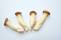 King Oyster mushroom