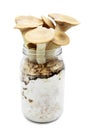King oyster mushrooms growing up on a glasses container, homemade fungiculture, isolated Royalty Free Stock Photo