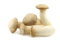 King oyster mushrooms (Pleurotus Eringii) Royalty Free Stock Photo