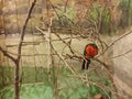 King Parrot & x28;Alisterus Scapularis& x29; in a room with park like painted walls Royalty Free Stock Photo