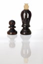 King and Pawn Chess Pieces.