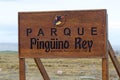 King Penguin colony at Inutil Bay in Tierra del Fuego, Chile