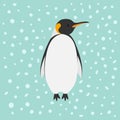 King Penguin Emperor Aptenodytes Patagonicus Snow in the sky Flat design Winter antarctica background