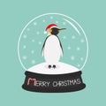 King Penguin Emperor in red santa hat. Royalty Free Stock Photo