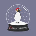 King Penguin Emperor in red santa hat. Royalty Free Stock Photo