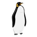 King Penguin. Flat vector illustration. Polar animal Royalty Free Stock Photo