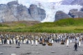 Colony of king penguins - Aptendytes patagonica - and some fur seals in front of green hills, rocks, glacier in South Georgia
