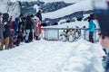 King Penguin parade walking on snow at Asahiyama Zoo in winter season. landmark and popular for tourists attractions. Asahikawa,