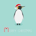 King Penguin Santa red hat. Emperor Aptenodytes Patagonicus Cute cartoon character. Flat design Winter antarctica bluebackground