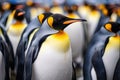 King penguins Aptenodytes patagonicus, Group of king penguins in the zoo. Wildlife scene from nature, AI Generated