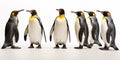 King penguins. isolated on white background Royalty Free Stock Photo