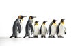 King penguins isolated on white background. Generative Ai Royalty Free Stock Photo