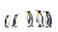 King penguins isolated on white background. Generative Ai Royalty Free Stock Photo